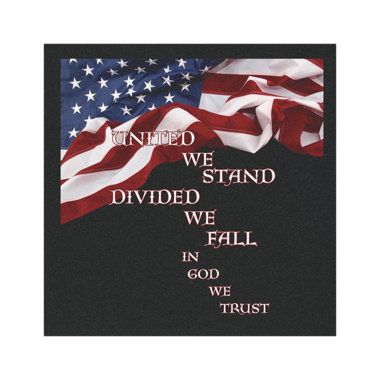 United We Stand Divided We Fall In God We Trust Car Magnets